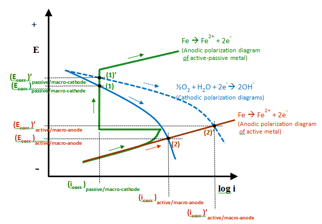 Figure 20. Graph. E–log i diagram describing different anodic and cathodic behaviors. This graph shows four electrical potential versus current density in log scale (E-log i) plots that describe several corrosion potential-corrosion current density relationships of active-passive metals, such as post-tensioned (PT) strands, depending on different anodic and cathodic behaviors. E is on the y-axis from negative to positive from bottom to top, and log i is on the x-axis. The following four different cases are shown in the graph: 
•	Case (1) represents a non-corroding PT strand in normal grout. The passive anodic polarization curve (solid green line) intersects with the cathodic polarization curve (solid blue line). In this case, relatively positive corrosion potential and low corrosion current density are observed. 
•	Case (1') also represents a non-corroding PT strand in normal grout, but more oxygen is supplied. The passive anodic polarization curve (solid green line) intersects with the more positively shifted cathodic polarization curve (dashed blue line). In this case, more positive corrosion potential and the same low corrosion current density are observed. 
•	Case (2) represents a corroding PT strand in defective grout. The active anodic polarization curve (solid red line) intersects with the cathodic polarization curve (solid blue line). In this case, negative corrosion potential and higher corrosion current density are observed. 
•	Case (2') also represents a corroding PT strand in defective grout, but more oxygen is supplied. The active anodic polarization curve (solid red line) intersects with the more positively shifted cathodic polarization curve (dashed blue line). In this case, slightly more positive corrosion potential and significantly higher corrosion current density than case (2) are observed. 