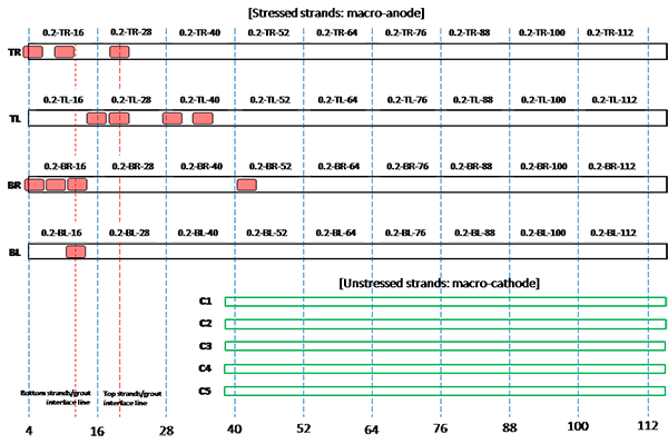 Figure 203. Illustration. Condition mapping of 0.2 percent chloride multi-strand specimen. This illustration shows condition mapping results of 0.2 percent chloride multi-strand specimens in a 12-inch grid system. Individual marks indicate where rust spots were observed on the stressed and unstressed strands. A total of 12 corrosion spots were observed on the stressed strands only. TR stands for top right strand, TL for top left strand, BR for bottom right strand, and BL for bottom left strand. C1 through C5 represent strand identifications for individual unstressed strands for macro-cathode.