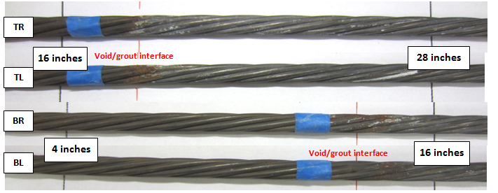 Figure 210. Photo. As-extracted condition of four stressed strands near the void/grout interface of 0.08 percent chloride multi-strand specimen. This photo shows as-extracted condition of four interface segments of the same specimen shown in figure 209. No recognizable corrosion damage was found.