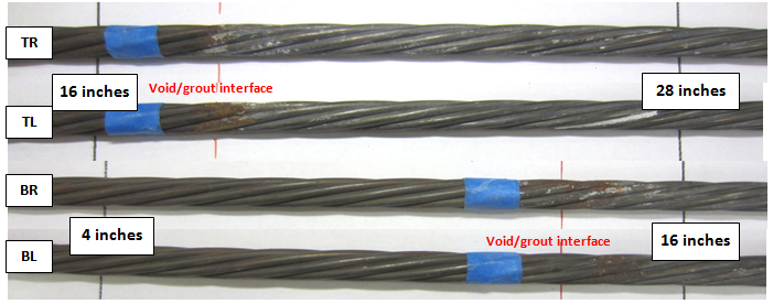 Figure 210. Photo. As-extracted condition of four stressed strands near the void/grout interface of 0.08 percent chloride multi-strand specimen. This photo shows as-extracted condition of four interface segments of the same specimen shown in figure 209. No recognizable corrosion damage was found.