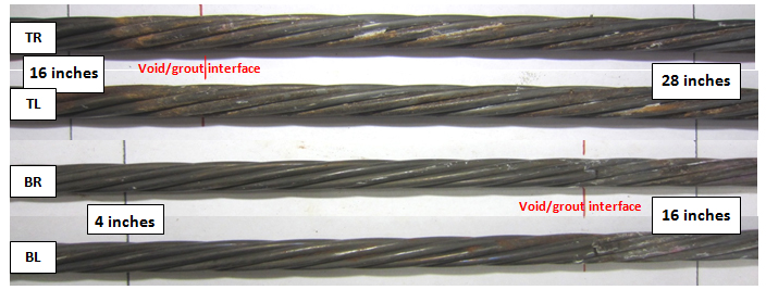Figure 212. Photo. As-extracted condition of four stressed strands at the void/grout interface of 0.8 percent chloride multi-strand specimen. This photo shows four interface segments of the same specimen as shown in figure 211. Segments BL and BR exhibited minor corrosion, and segments TL and TR exhibited moderate corrosion.