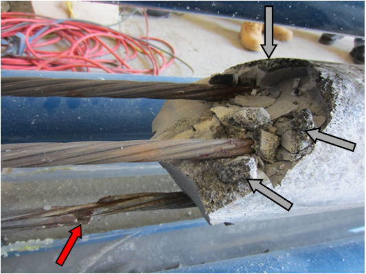 Figure 219. Photo. Severely corroded strand with three broken wires at the void/grout interface of 0.4 percent chloride multi-strand specimen. This photo shows severely corroded condition of stressed strands just behind the void/grout interface of 0.4 percent chloride multi-strand specimen. Three wires broken by corrosion are indicated by a red arrow. Black deposit on the interface is indicated by gray arrows.