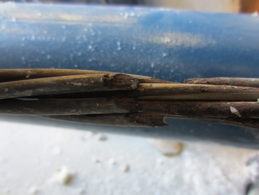Figure 220. Photo. Close-up view of the severely corroded strand shown in figure 219. This photo shows a close-up view of the broken wires in figure 219. The wires failed during the de-tensioning process due to excessive stress concentrated in the corroded areas with significant section loss.