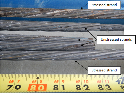 Figure 230. Photo. Corrosion of unstressed strands in 2.0 percent chloride multi-strand specimen. This photo shows three corroding unstressed strands along with two stressed strands in a 2.0 percent chloride multi-strand specimen.