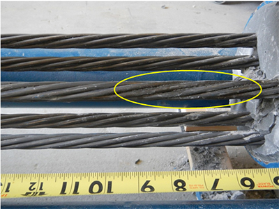 Figure 234. Photo. Wet and soft grout found in 1.0 percent chloride multi-strand specimen. This photo shows localized wet and soft grout uncovered in a 1.0 percent chloride multi-strand specimen.