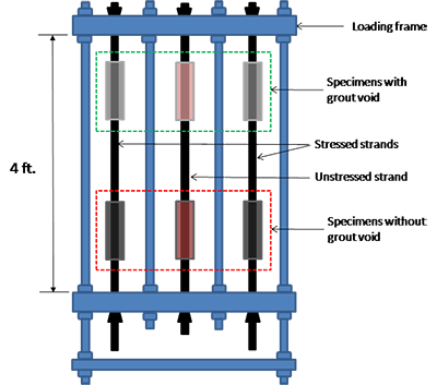 Figure 24. Illustration. Task 2.2 loading frame for single-strand specimens. This illustration shows a loading frame contained two stressed strands and one unstressed strand for task 2.2 testing. Each strand had two mock-up clear polyvinyl chloride ducts in the middle. The upper duct specimens simulated tendons containing a grout void, and the lower duct specimens simulated fully grouted tendons.