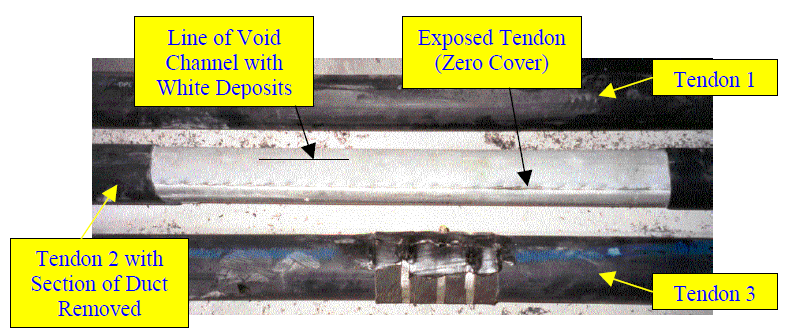 Figure 268. Photo. External PT tendon of Mid-Bay bridge in Florida. This photo shows the external post-tensioned (PT) tendon of the Mid-Bay bridge in Florida. No grout cover was observed. 