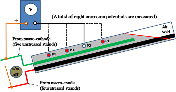 Figure 48. Illustration. Corrosion potential measurement for multi-strand specimens. This illustration shows an experimental setup of corrosion potential measurement for multi-strand specimens. After the macro-anode and the macro-cathode are disconnected, stable corrosion potentials of the macro-anode and the macro-cathode are measured at four locations by connecting negative terminal of a voltmeter and positive terminal to each of the four pseudo-reference electrodes. 