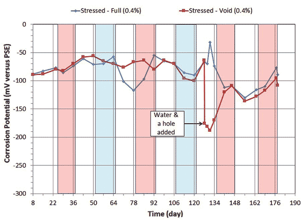 This graph shows corrosion potential versus time data of single-strand specimens containing 0.4 percent chloride concentration. Corrosion potential in millivolts versus pseudo-reference electrode is on the y-axis from -300 to 0 mV, and time is on the x-axis from 8 to 190 days. Four red columns indicate the duration of each hot and humid cycle, and two blue columns indicate the duration of each freeze and dry cycle. Each column represents 2 weeks. Two lines are shown in the graph: the blue line indicates a positive corrosion potential trend of the stressed strand in a fully grouted condition, and the red line shows a similar trend of the stressed strand in a voided condition. When water and air holes were introduced into the voided specimen around day 126, a sudden drop of corrosion potential occurred for approximately 7 days. All data points exhibited positive potentials, indicating passive behavior except for those of the voided stressed specimen upon water recharging.