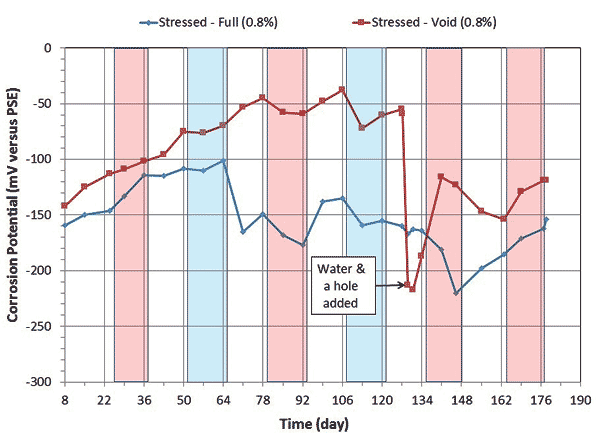 This graph shows corrosion potential versus time data of single-strand specimens containing 0.8 percent chloride concentration. Corrosion potential in millivolts versus pseudo-reference electrode is on the y-axis from -300 to 0 mV, and time is on the x-axis from 8 to 190 days. Four red columns indicate the duration of each hot and humid cycle, and two blue columns indicate duration for each freeze and dry cycle. Each column represents 2 weeks. Two lines are shown in the graph: the blue line shows corrosion potential of the stressed strand in a fully grouted condition, and the red line shows corrosion potential of the stressed strand in a voided condition. The blue line shows a positive corrosion potential trend for 64 days followed by a negative potential trend afterwards. The red line shows steadily positive corrosion potential behavior before a sudden decrease upon introduction of water and air holes into the voided specimen around day 127. 