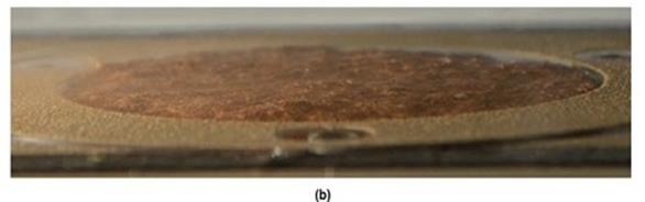 In this photo, a progression of erosion changes are seen. For the lower bed shear stress of 0.10 lbf/ft2 (4.9 Pa), there was no cloudiness (image a). The soil was eroded in small lumps over the soil surface. When the bed shear stress was increased to 0.21 lbf/ft2 (10 Pa), increasing cloudiness was observed, and larger lumps of soil were entrained in the flow (image b). When the bed shear stress was increased to 0.27 lbf/ft2 (13.1 Pa), the cloudiness increased, and the erosion rate increased. At this higher shear stress, shallow grooves appeared on the soil surface along the flow direction (image c).