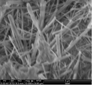 Figure 19. Photo. Representative SEM images of the G3 grout: predominant ettringite (needle-shape) phase formation in the matrix at 2 d of hydration (left). The photo shows a scanning electron microscope (SEM) image with a magnification of 15,000x of the main type of crystals observed in the G3 grout after 2 d of hydration. There is a microstructure dominated with needle-shape ettringite crystals.