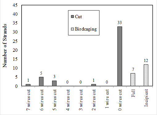 This histogram has a vertical axis labeled “Number of Strands” ranging from 0 at the bottom to 45 at the top in increments of 5. The horizontal axis has 10 bins labeled left to right: “7 wires cut,” “6 wires cut,” “5 wires cut,” “4 wires cut,” “3 wires cut,” “2 wires cut,” “1 wire cut,” “0 wires cut,” “Full,” and “Incipient.” The legend shows two fill colors for damage types: a dark gray fill for cut damage and a horizontal squiggly line fill for birdcage damage. For the location of 7 wires cut, 1 strand is cut. For the location of 6 wires cut, 5 strands are cut. For the location of 5 wires cut, 3 strands are cut. For the location of 4 wires cut, no strands are cut. For the location of 3 wires cut, no strands are cut. For the location of 2 wires cut, 1 strand is cut. For the location of 1 wire cut, no strands are cut. For the location of 0 wires cut, 33 strands are cut. Seven strands are shown to have full birdcages, and 12 strands have incipient birdcages.