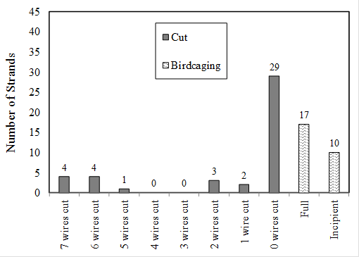 This histogram has a vertical axis labeled “Number of Strands” ranging from 0 at the bottom to 45 at the top in increments of 5. The horizontal axis has 10 bins labeled left to right: “7 wires cut,” “6 wires cut,” “5 wires cut,” “4 wires cut,” “3 wires cut,” “2 wires cut,” “1 wire cut,” “0 wires cut,” “Full,” and “Incipient.” The legend shows two fill colors for damage types: a dark gray fill for cut damage and a horizontal squiggly line fill for birdcage damage. For the location of 7 wires cut, 4 strands are cut. For the location of 6 wires cut, 4 strands are cut. For the location of 5 wires cut, 1 strand is cut. For the location of 4 wires cut, no strands are cut. For the location of 3 wires cut, no strands are cut. For the location of 2 wires cut, 3 strands are cut. For the location of 1 wire cut, 2 strands are cut. For the location of 0 wires cut, 29 strands are cut. Seventeen strands are shown to have full birdcages, and 10 strands have incipient birdcages.