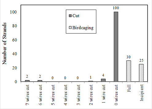 This histogram has a vertical axis labeled “Number of Strands” ranging from 0 at the bottom to 100 at the top in increments of 10. The horizontal axis has 10 bins labeled left to right: “7 wires cut,” “6 wires cut,” “5 wires cut,” “4 wires cut,” “3 wires cut,” “2 wires cut,” “1 wire cut,” “0 wires cut,” “Full,” and “Incipient.” The legend shows two fill colors for damage types: a dark gray fill for cut damage and a horizontal squiggly line fill for birdcage damage. For the location of 7 wires cut, 2 strands are cut. For the location of 6 wires cut, 2 strands are cut. For the location of 5 wires cut, no strands are cut. For the location of 4 wires cut, no strands are cut. For the location of 3 wires cut, no strands are cut. For the location of 2 wires cut, 1 strand is cut. For the location of 1 wire cut, 4 strands are cut. For the location of 0 wires cut, 100 strands are cut. Thirty strands are shown to have full birdcages, and 25 strands have incipient birdcages.