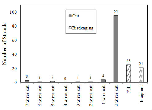 This histogram has a vertical axis labeled “Number of Strands” ranging from 0 at the bottom to 100 at the top in increments of 10. The horizontal axis has 10 bins labeled left to right: “7 wires cut,” “6 wires cut,” “5 wires cut,” “4 wires cut,” “3 wires cut,” “2 wires cut,” “1 wire cut,” “0 wires cut,” “Full,” and “Incipient.” The legend shows two fill colors for damage types: a dark gray fill for cut damage and a horizontal squiggly line fill for birdcage damage. For the location of 7 wires cut, 3 strands are cut. For the location of 6 wires cut, 1 strand is cut. For the location of 5 wires cut, 2 strands are cut. For the location of 4 wires cut, no strands are cut. For the location of 3 wires cut, 1 strand is cut. For the location of 2 wires cut, 1 strand is cut. For the location of 1 wire cut, 4 strands are cut. For the location of 0 wires cut, 95 strands are cut. Twenty-five strands are shown to have full birdcages, and 21 strands have incipient birdcages.