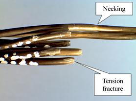 This is a closeup photo of an unsheathed strand. The wires are helically wrapped, so there is a slight angle from lower left to upper right. The wires are noticeably separated from each other. Five of the wires have fractures that are perpendicularly oriented relative to the longitudinal direction of the wires. An annotation points to the fracture surface of the bottom wire as &ldquo;Tension fracture.&rdquo; Two wires remain intact across the top of the photo, though each has an isolated zone where the wire diameter has been reduced. An annotation points to the area of reduced diameter with a callout of &ldquo;Necking.&rdquo;