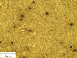 A scale bar is provided in the picture showing a dimension of 0.001 inch, and therefore the field of view is approximately 0.005 inch wide and 0.0038 inch tall. The image comprises two types of microstructures: light and dark. Both microstructures appear to be randomly distributed through the image and have grain sizes on the order of 0.0002 inch. The image also contains a random distribution of round inclusions, also around 0.0002 inch. The grain boundaries have started to become muted and less defined.