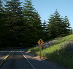 This is a photo of a two-lane road curving to the right around a hill. On the right side of the road is a yellow, diamond caution sign depicting upcoming curves in the road, which reads “35 MPH.”