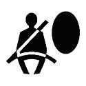 Figure 9-1. Sample Icon of person with seat belt attachment. Click here for more detail.