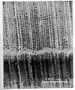 Figure 102b.