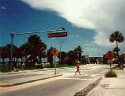 Figure 7. Photo. Overhead crosswalk sign in Clearwater, FL. This photo shows one pedestrian crossing a two-lane street with a median. The pedestrian is in a crosswalk that is marked by two different yellow and black signs-a sign with the crosswalk symbol is in the median, and sign that reads -crosswalk- is hanging over the middle of crosswalk.