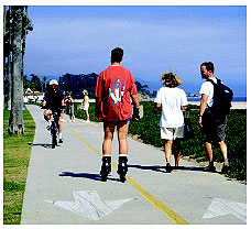 Figure 1. Photograph. Hikers, bicyclists, and skaters often share the same pathways. This is a photograph of a typical shared-use path. The path appears to be approximately 3.7 to 4.2 meters (12 to 14 feet) wide, has a solid centerline, and has large white directional arrows in each of the two lanes. There are tall trees to the left of the path and a shoreline area to the right. The path has two pedestrians, an inline skater, and a bicyclist in the foreground and a few other users in the background.
