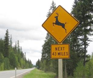 This picture shows a yellow diamond warning sign atop a rectangular placard. The yellow diamond includes a black silhouette of a deer jumping. The yellow placard reads NEXT 43 MILES. The sign is next to a rural, two-lane roadway and has several bullet holes in it.