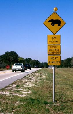 This picture shows a yellow diamond warning sign atop three rectangular placards. The yellow diamond includes a black silhouette of a bear walking. The yellow placards read BEAR CROSSING, REPORT SIGHTINGS 407-884-2009, and NEXT 6 MILES. The sign is next to a rural, two-lane roadway.