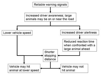  Figure 33. Flow chart. Warning signs and driver response. The chart shows a series of events that may allow a driver to avoid a WVC or to hit an animal at a lower speed. To end with either of these results, the driver must start with “reliable warning signals,” followed by “increased driver awareness; large animals may be on or near road” directly below the first box. From this point, there are two paths to “vehicle may hit animal at lower speed.” The first path is “lower vehicle speed” following “increased driver awareness; large animals may be on or near the road.” The second path is “increased driver alertness” followed by “reduced reaction time when confronted with a large animal ahead” This results in “shorter stopping distance” and ends with “vehicle may hit animal at lower speed.” The other end result is “vehicle may not hit animal,” which results from the same second path mentioned above (following “increased driver awareness; large animals may be on or near the road,” is “increased driver alertness” followed by “reduced reaction time when confronted with a large animal ahead” followed by “shorter stopping distance” ending in “vehicle may not hit animal”).