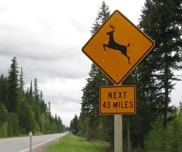 This picture shows a yellow diamond warning sign atop a rectangular placard. The yellow diamond includes a black silhouette of a deer jumping. The yellow placard reads “NEXT 43 MILES.” The sign is next to a rural, two-lane roadway and has several bullet holes in it.