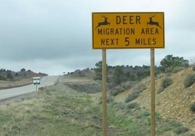  Figure 37. Photo. Seasonal deer migration sign in Utah (photo: Marcel Huijser). This is a picture of a square yellow sign with black lettering on a two-lane roadway. The first line of the sign reads “Deer” with a silhouette of a deer on either side of the word. The next two lines read “migration area next 5 miles.”  