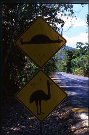  Figure 41. Photo. Speed bumps used to reduce WVCs in Australia (photo: Marcel Huijser, WTI). This is a picture of two yellow diamond signs one above the other. The bottom yellow diamond sign is a silhouette of a cassowary (a large bird). The top yellow diamond is a silhouette of a speed bump, a flat thick line with a raised hump in the middle. The top sign has been vandalized with black marker to look like a dead bird lying on its back. 