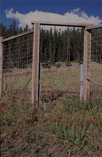In this picture of a one-way elk gate, there is a jog in the fence that is about 0.915 m (3 ft) wide. The jog has no wire mesh or fence material between the posts, but a series of metal tines on either side that bend inward, allowing animals to squeeze through in only one direction away from the highway.