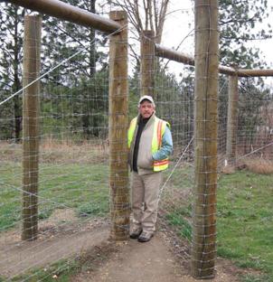 This picture shows an angled opening in a 2.4-m (8-ft) fence that parallels U.S. Highway 93 (south). One end of the fence ends in a V shape and the other ends approximately 1 m (3 ft) away creating the opening. To show the opening and the height of the fence an MDT worker stands at the crux of the angle. 