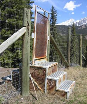 The 1-m (4-ft) spring loaded swing gate sits above a set of three stairs to allow access in deep snow. The stairs and swing gate interrupt a 2.4-m (8-ft) fence. The highway is not seen in this picture.