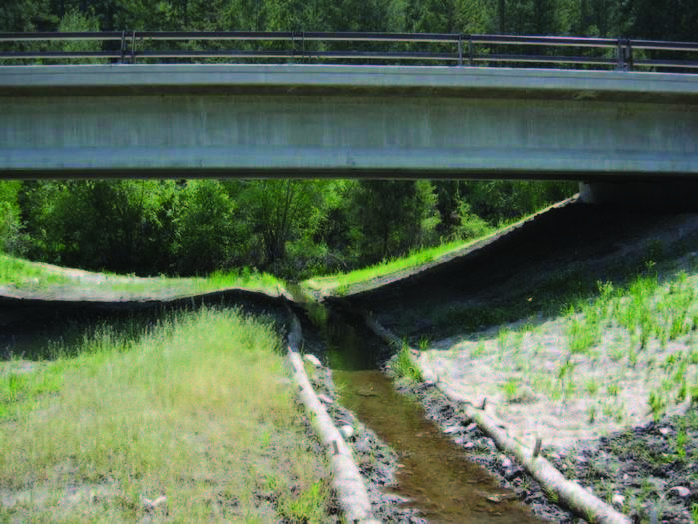 This picture shows a long bridge elevated over forested area.