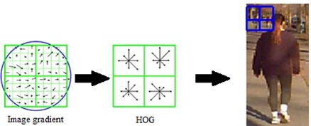 Three images are shown in this figure. The image on the left shows a green square separated into four segments, and each segment is further separated into four-by-four grids. Each grid contains an illustration showing an arrow in some arbitrary direction. The arrow direction depicts the direction of the image gradient. The middle image shows an illustration of histograms of oriented gradients (HOGs) within each two-by-two block. The right image shows photo of a pedestrian walking with a blue square on the top left depicting a two–by-two block within which the HOG was computed.