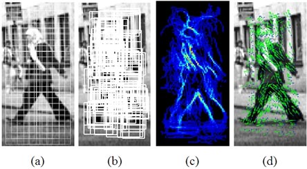 This photo illustrates the process of contour and histogram of oriented gradients (HOGs) through four images. Image (a) depicts a fixed sub-region of interest (ROI). There is a person walking with a white grid on top. Image (b) depicts localized ROIs from image (a). Image (c) depicts foreground masks obtained from contour matching of image (b). Image (d) depicts filtered HOG directions in green underlying the masked regions.