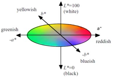 This figure is a three-dimensional representation of the Commission on Illumination (CIE) 1976 L*a*b (CIELAB) color space. The figure shows a horizontal oval disk, with four orthogonal axes radiating out from the center of the disk in the horizontal plane. One set of horizontal axes ranges from -b* (bluish) to +b* (yellowish). The other set of horizontal axes ranges from -a* (greenish) to +a* (reddish). Inside the horizontal disk, the range of perceived colors is shown. An orthogonal vertical axis runs through the center of the disk. This vertical axis portrays the lightness dimension, ranging from L* equals 100 for white at the top to L* equals 0 for black at the bottom. 