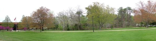 A panoramic photograph is shown. An area with a green lawn in the foreground is horizontally bisected by a walkway. Beyond the walkway is a stand of trees. The trees have the appearance of early spring, some with flowers and others with pale green leaves. A two-story building with a flagpole in front is on the far left.