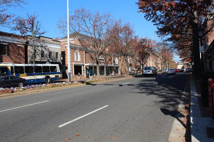 Illustration of some of the foliage present in the median of North Washington Street. A median with planted flowers in the center of the roadway can be seen.