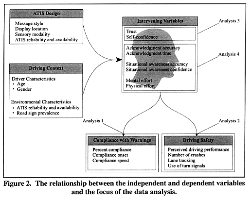 The relationship between the independent and dependent variables and the focus of the data analysis