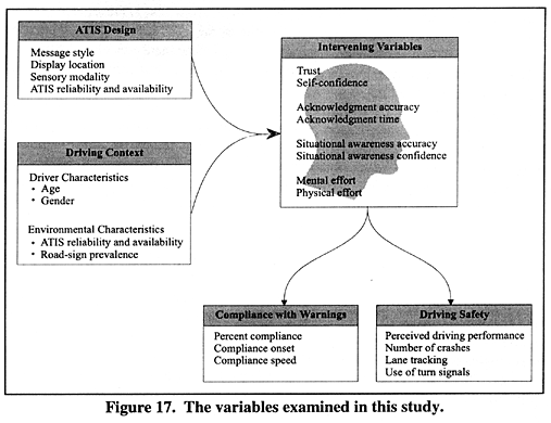 The variables examined in this study