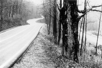 Figure 13. Typical Roadway with Roadside Hazard Rating Equal to 6. In this picture, a two-lane road winds through a wooded area in which the trees are standing within a few feet of the road.