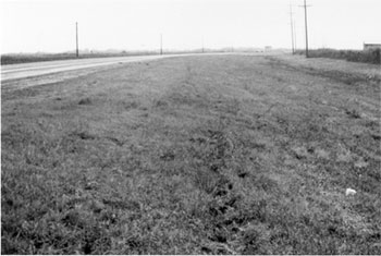 Figure 8. Typical Roadway with Roadside Hazard Rating Equal to 1. Figures 8 through 14 show photographs illustrating the seven roadside hazard rating categories. Roadside Hazard Ratings equal to 1 represent the lowest hazards; Roadside Hazard Ratings equal to 7 represent the greatest hazards. This photograph depicts a two-lane road on flat terrain, running through a grassy area.