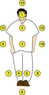 Illustration. Parallel pedestrian measurement points. Click here for more detail.