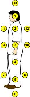 Illustration. Perpendicular pedestrian measurement points. Click here for more detail.