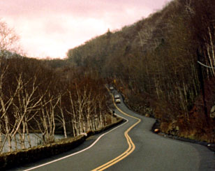 This photograph shows a road that winds through a forest and up a hill.