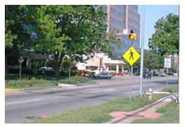 Fluorescent yellow–green sign treatment in Austin, TX.